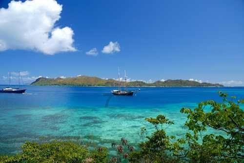 AI热潮大赢家超微一年涨近500%,创始人晋升亿万富豪
